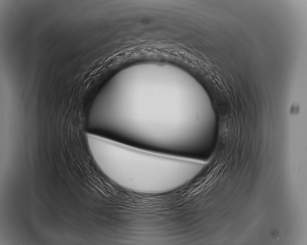 X0000098071490200804040715