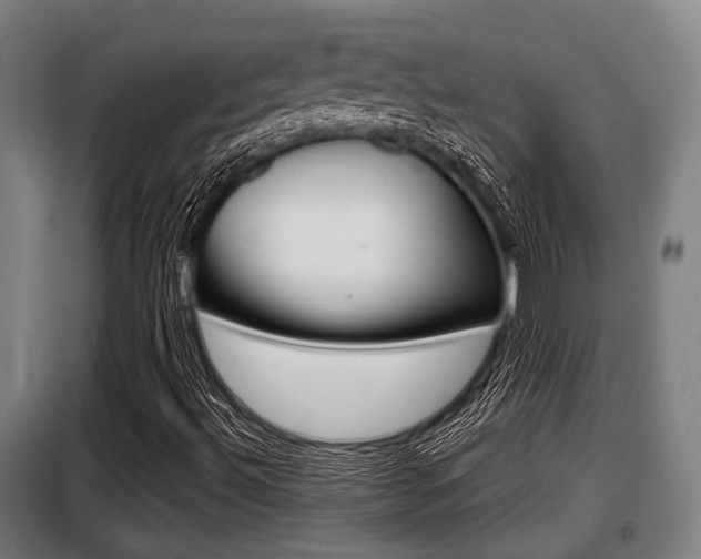 X0000098071492200804040715