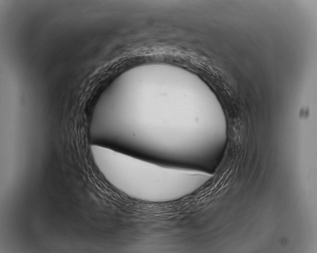 X0000098071493200804040715