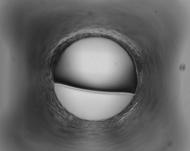 X0000098071494200804040715