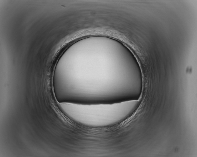 X0000098071499200804040715