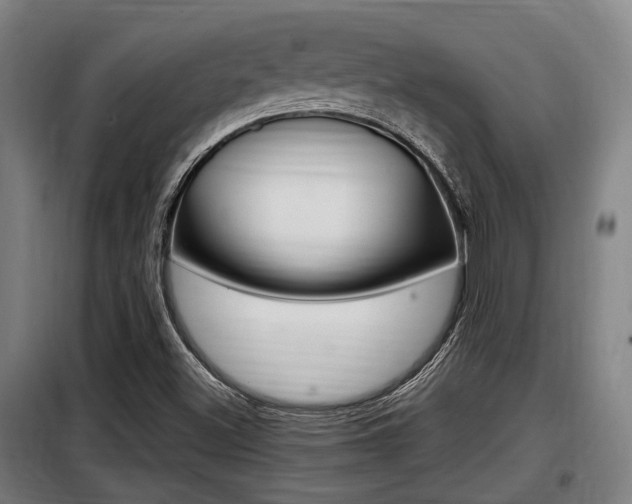X0000098071500200804040715