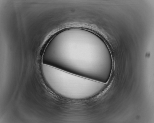 X0000098071501200804040715