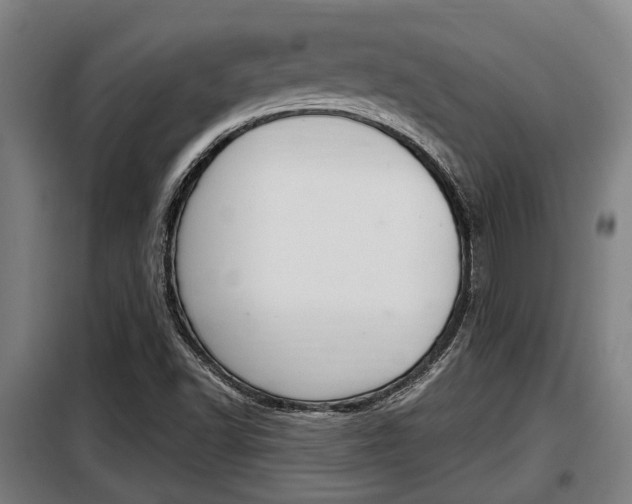 X0000098071502200804040715