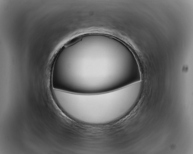 X0000098071504200804040715