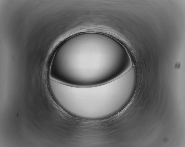 X0000098071506200804040715