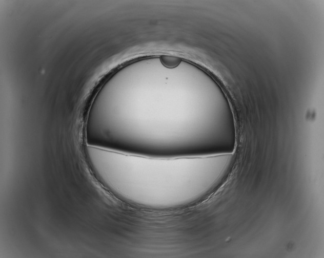 X0000098071507200804040715