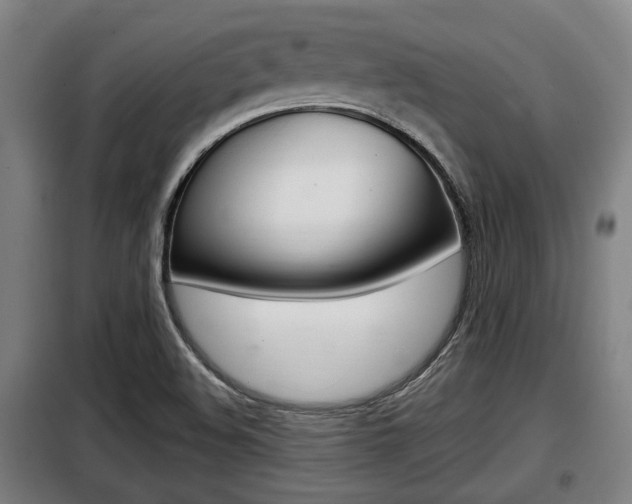 X0000098071508200804040715