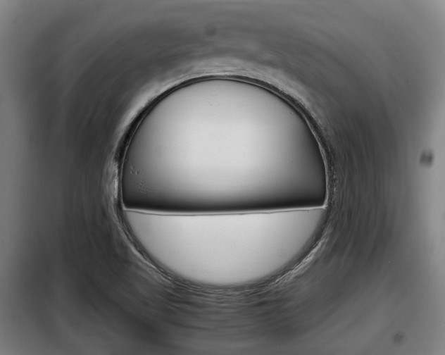 X0000098071509200804040715