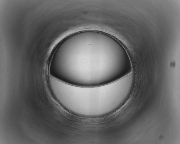 X0000098071510200804040715