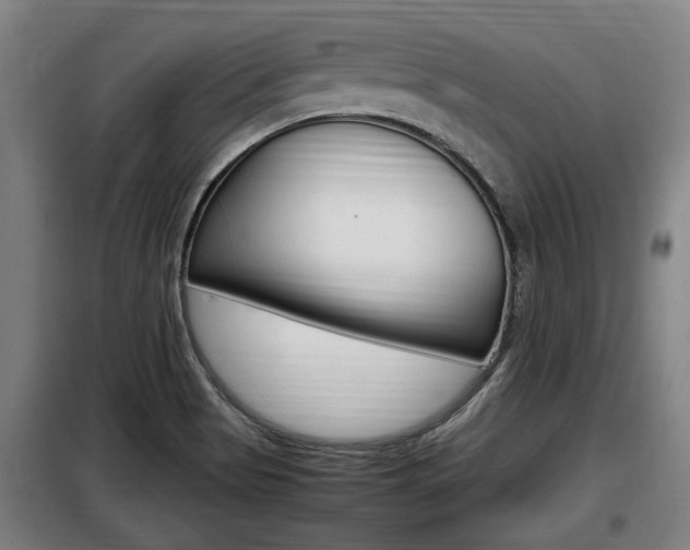 X0000098071513200804040715
