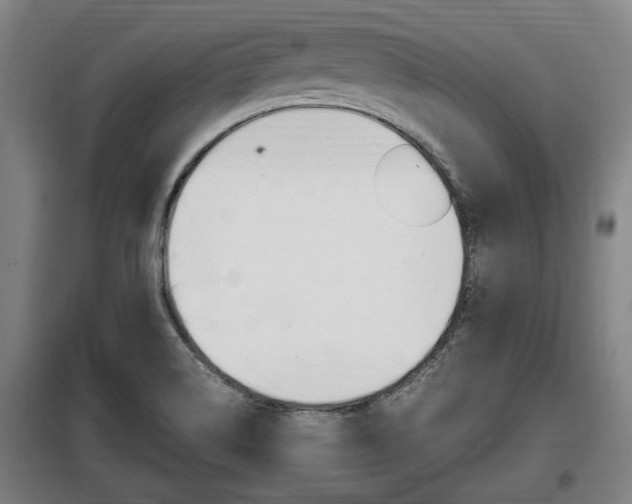 X0000098071514200804040715
