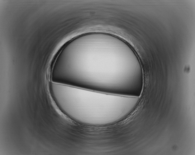 X0000098071515200804040715