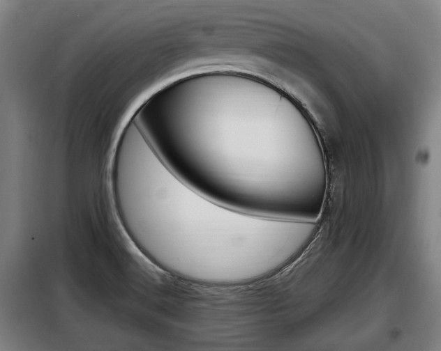 X0000098071516200804040715