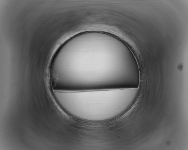 X0000098071517200804040715