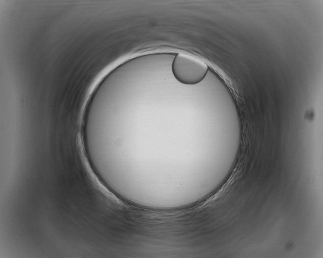 X0000098071518200804040715