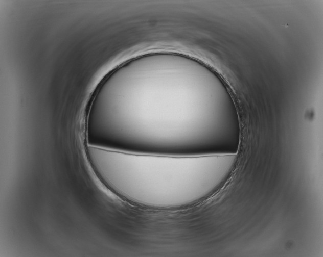X0000098071519200804040716