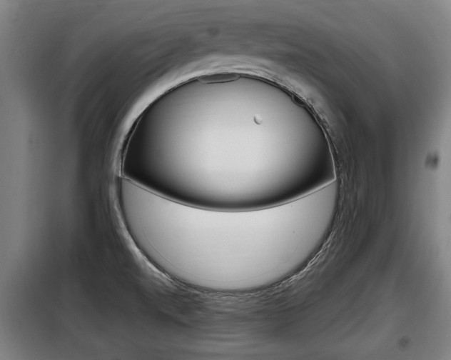 X0000098071520200804040716