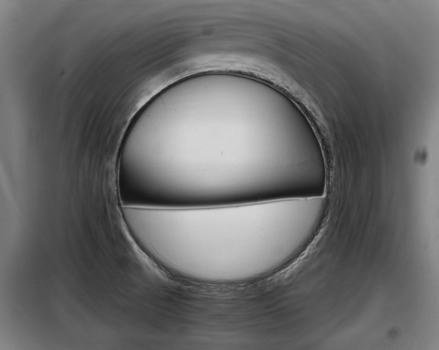 X0000098071521200804040716