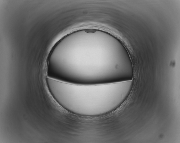 X0000098071522200804040716