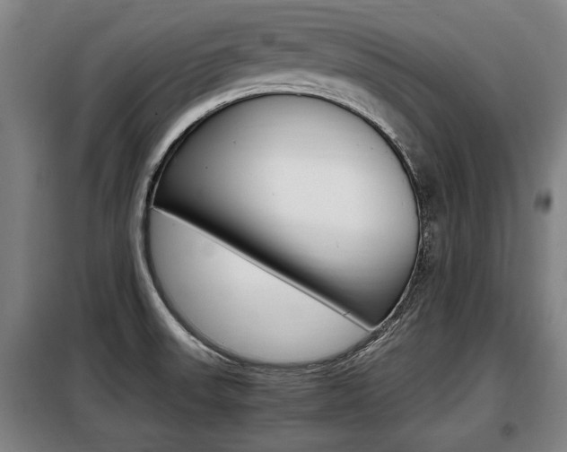 X0000098071523200804040716