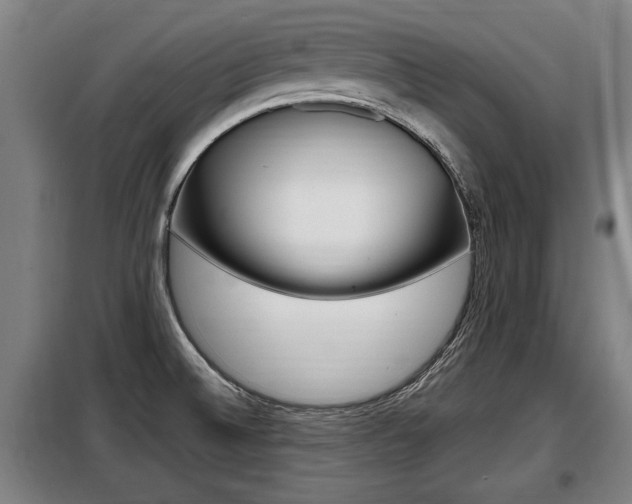 X0000098071524200804040716