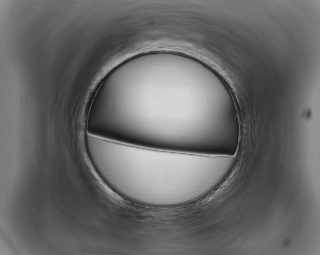X0000098071525200804040716