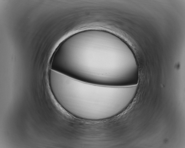 X0000098071526200804040716