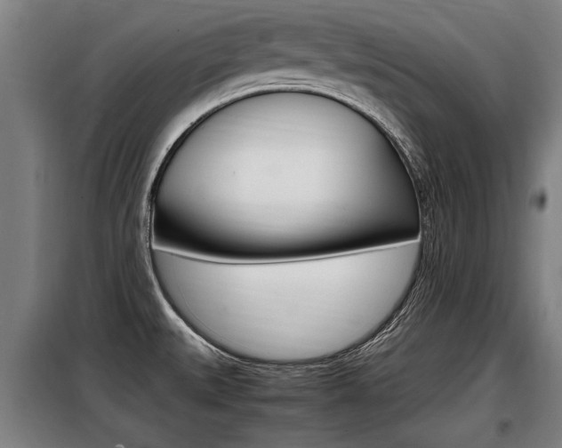 X0000098071527200804040716