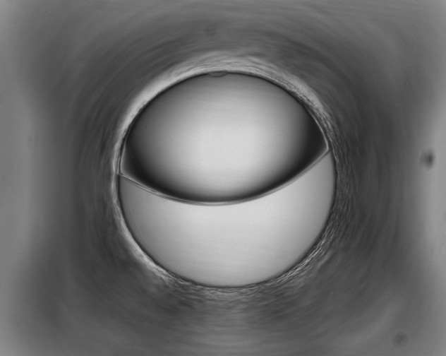 X0000098071528200804040716