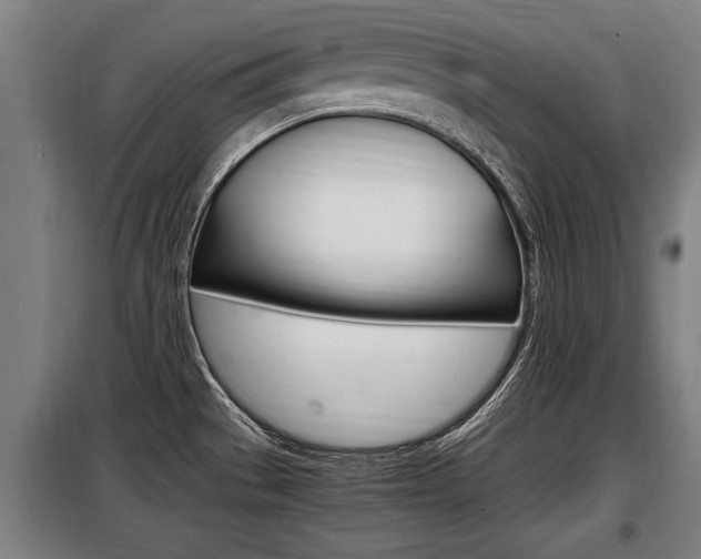 X0000098071529200804040716