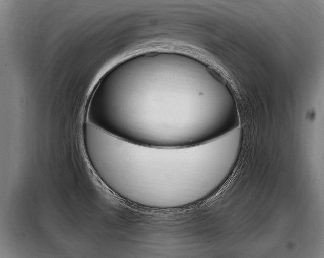 X0000098071530200804040716