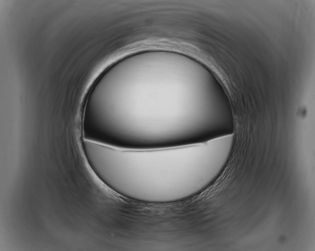 X0000098071531200804040716