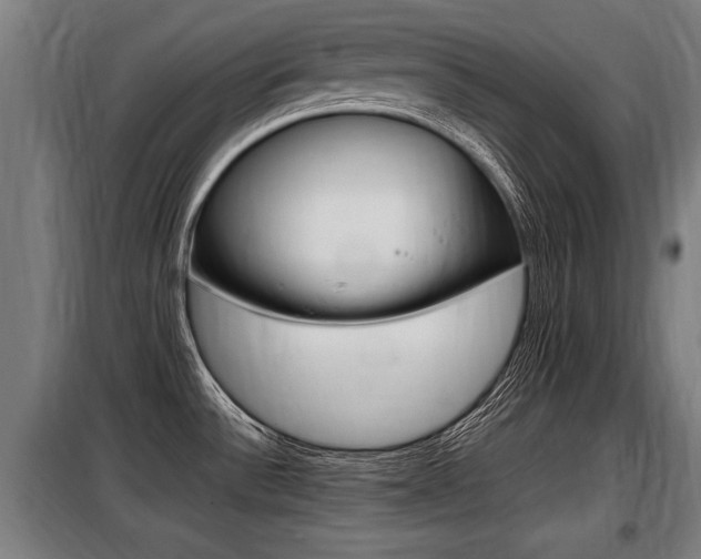 X0000098071532200804040716