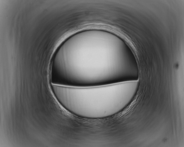 X0000098071533200804040716