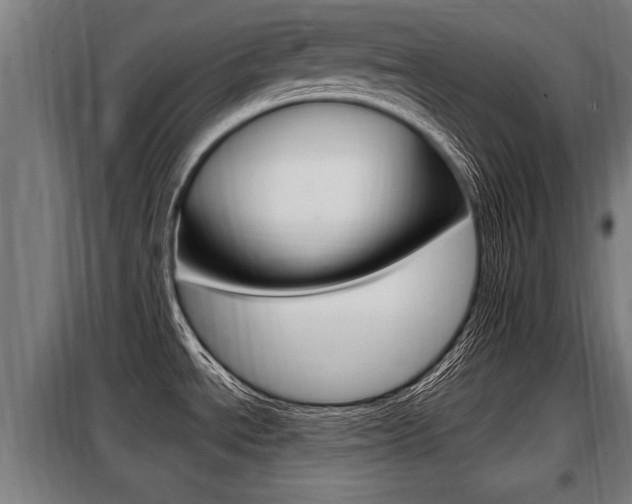 X0000098071534200804040716