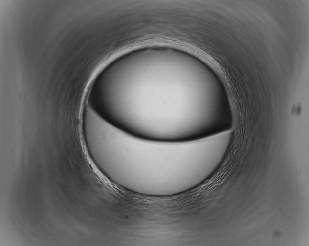 X0000098071536200804040716