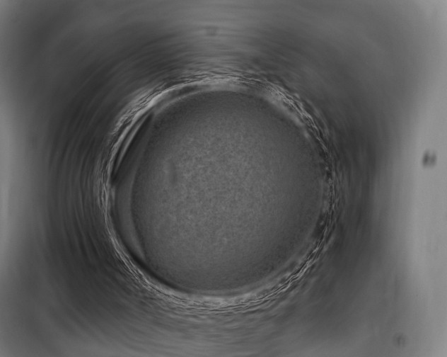 X0000098070002200804041136