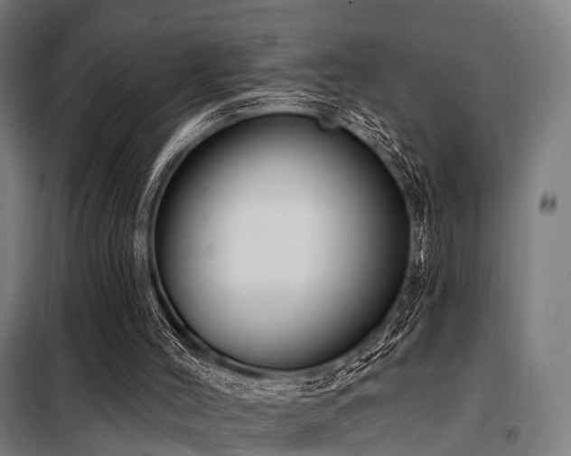 X0000098070004200804041136