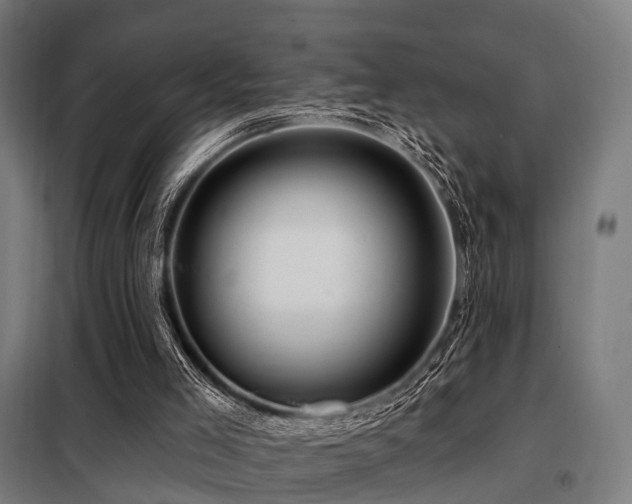 X0000098070005200804041136