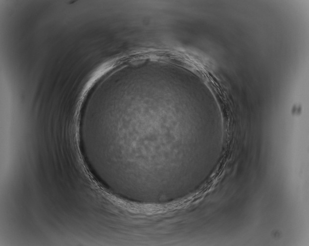 X0000098070006200804041136