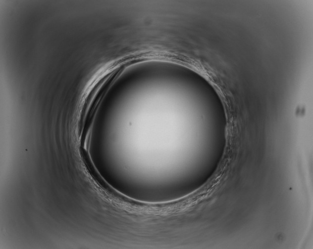 X0000098070007200804041136