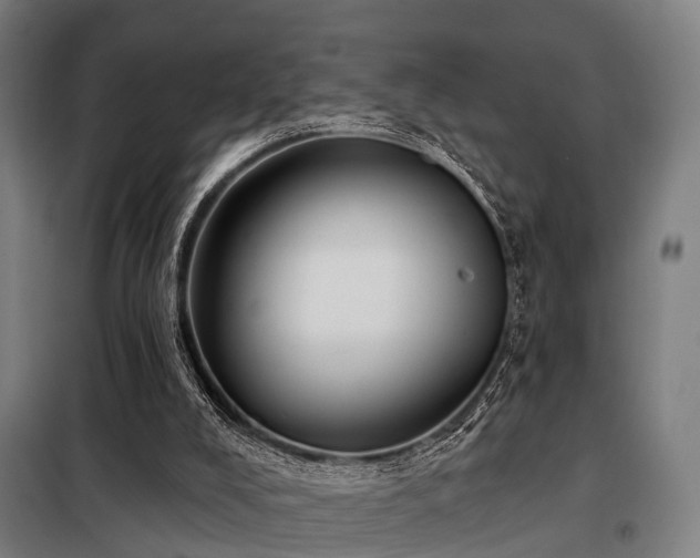 X0000098070008200804041136