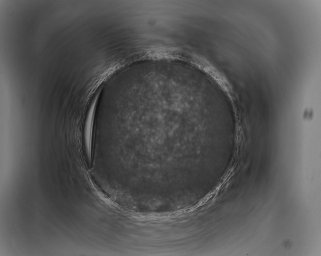 X0000098070009200804041136