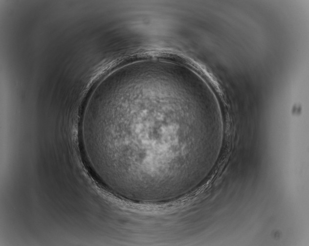 X0000098070010200804041136