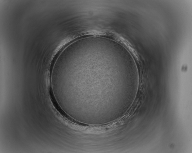 X0000098070011200804041136