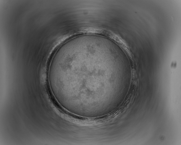 X0000098070012200804041136