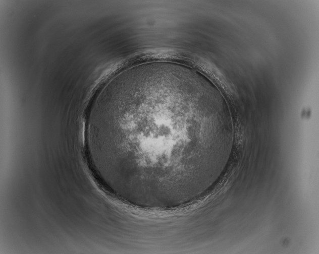 X0000098070014200804041136