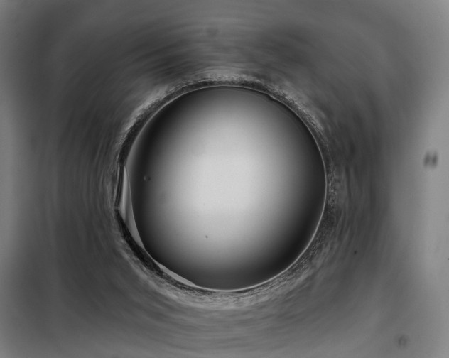 X0000098070015200804041136