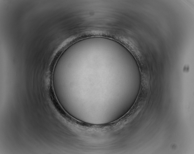 X0000098070016200804041136